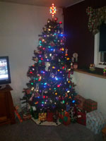 The kids & Gramma put up the tree for Alissa this year.