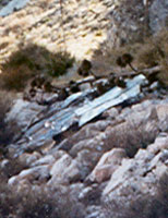 Not sure when the airplane hit the mountain. The Park Service knew all about it.