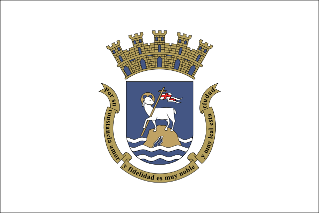 City flag of San Juan